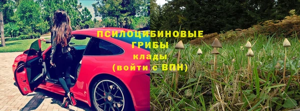 крисы Дубовка