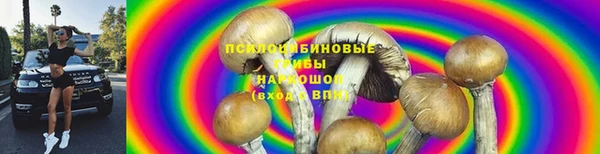 мескалин Белокуриха