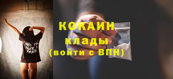прущие крисы Богданович