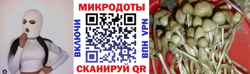 ОМГ ОМГ сайт  Беломорск  Галлюциногенные грибы GOLDEN TEACHER 